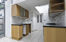 Strabane kitchen extension leads